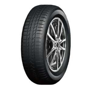 Double Coin 185/70R14  Dc-80+