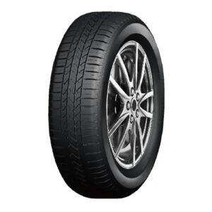 Double Coin 185/70 R14 88H Dc-80+
