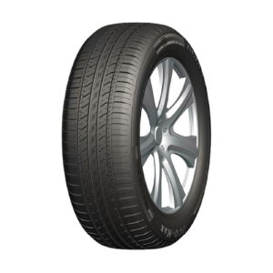 Double Coin 185/65 R14 86H Dco-Max